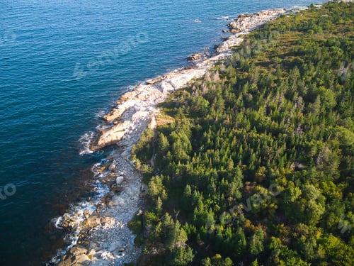 Preview: a large body of water with trees growing on the shore