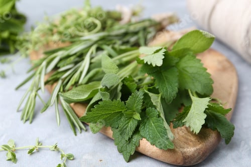 Preview: Different fresh green herbs on grey table, closeup