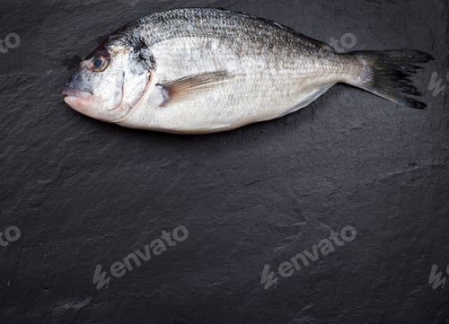 Preview: Fresh dorado fish on dark vintage background