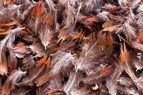 Preview: Pile of Brown and Grey Feathers Background