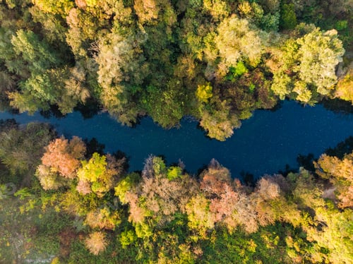 Preview: Blue river flow trough forest, top down aerial