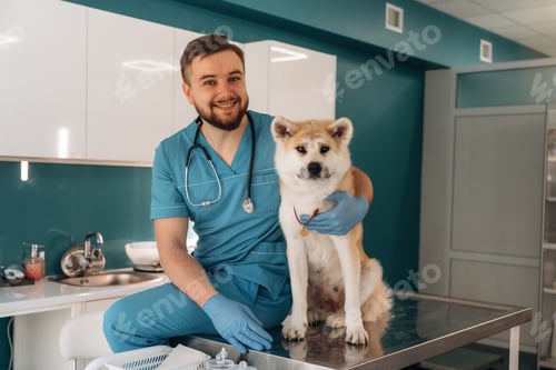 Preview: Sitting and smiling. Male veterinarian is with Akita Inu dog in clinic
