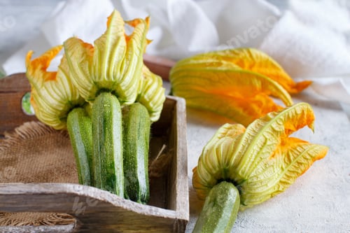 Preview: Young Zucchini With Flowers