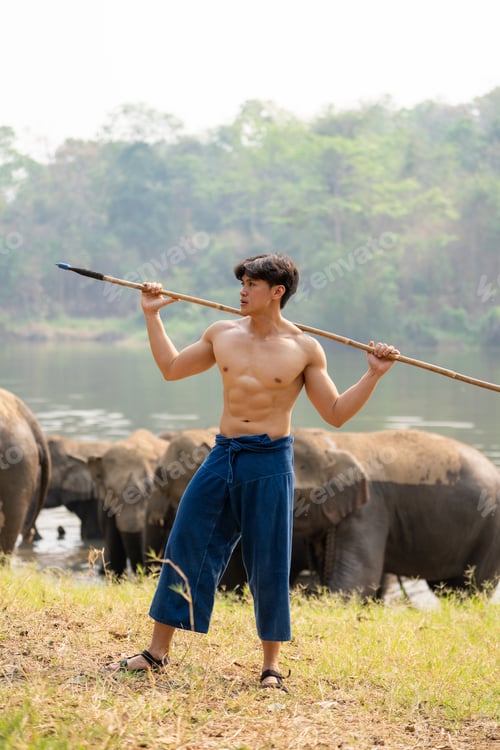 Preview: Asian elephants in the park with young man