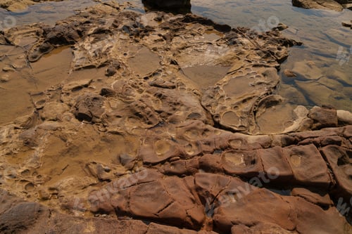 Preview: Eroded Coastal Rocks with Tidal Pools and Unique Patterns
