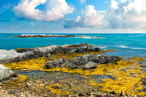 Preview: Closeup of a rocky coastline