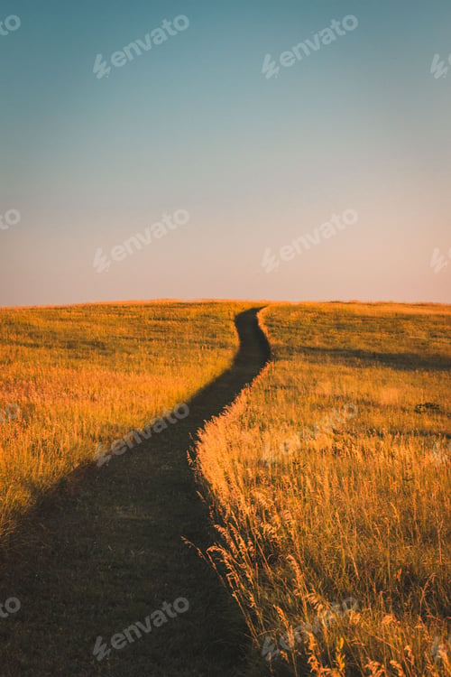 Preview: Vertical shot of a narrow black trail in a yellow field, Lincoln, Nebraska, Unites States