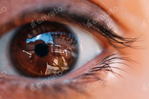 Preview: Macro selective focus shot of human brown eye