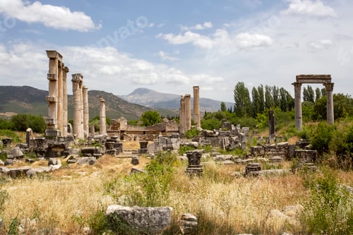 Preview: Ancient city of Aphrodisias, Aydin / Turkey. Travel concept photo.