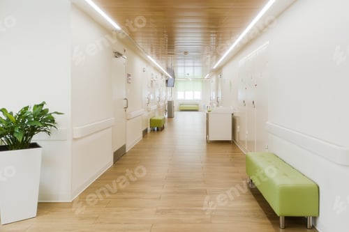 Preview: Modern medical corridor with benches, plant and wood ceiling presents clean clinic interior