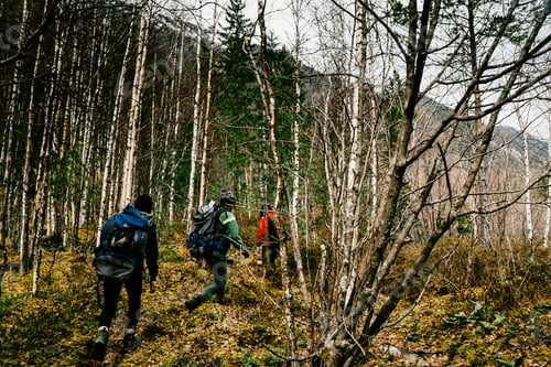 Preview: Travelers team in wild mountains