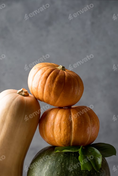 Preview: A set of pumpkins of different shapes and sizes with space for text.