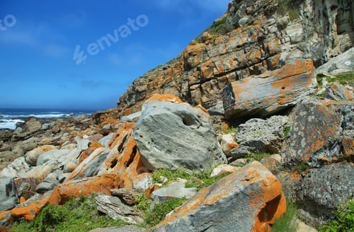 Preview: Robberg nature reserve