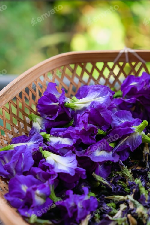 Preview: Thai herbal medicine.