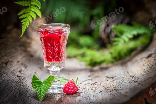 Preview: Raspberries liqueur made of fruits and alcohol in forest