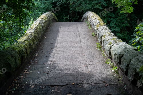 Preview: The view over a humpbacked bridge in Jesmond Dene, Newcastle upon Tyne, UK
