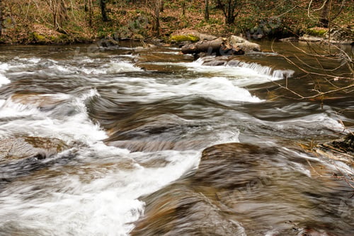 Preview: Tranquil stream cascades over a bed of rocks, creating a tranquil and serene atmosphere