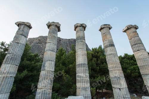 Preview: Columns of Priene
