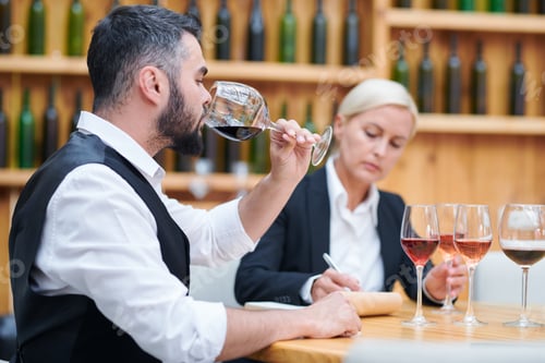 Preview: Young elegant sommelier tasting red wine from one of glasses