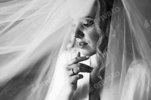 Preview: Portrait of beautiful bride with fashion veil. A photo of delicate bride's hands hidden under a veil