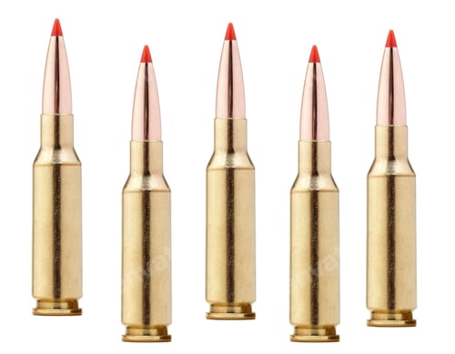 Preview: rifle bullets on white background