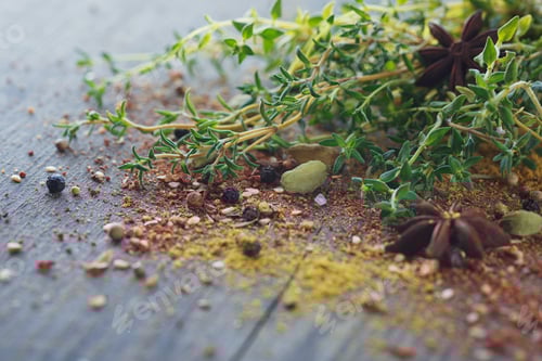 Preview: Mix of fresh thyme herbs and spices assortment on wooden background.