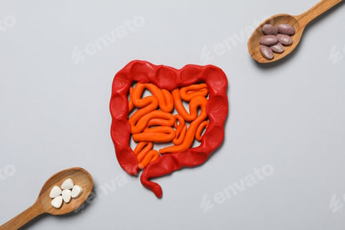 Preview: Concept of health care, stomach and intestinal problems