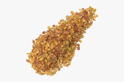 Visualização: Pilha de folhas outonais - cobertura de solo decíduo marrom e amarelo