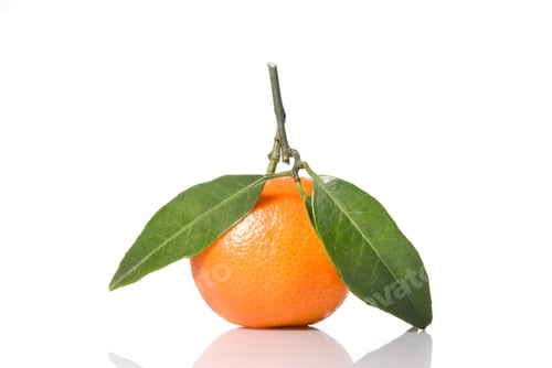 Preview: Tangerine with green leaves isolated on white