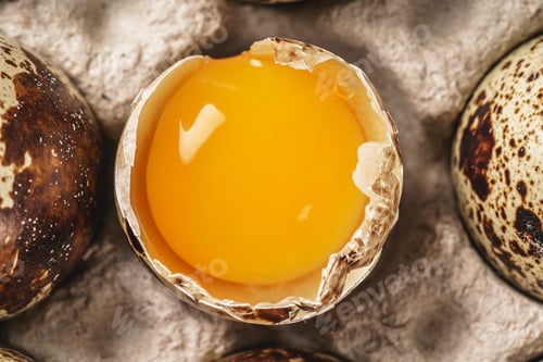 Preview: Quail eggs in cardboard box
