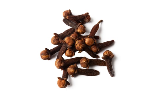 Preview: Dried clove spice on the white background