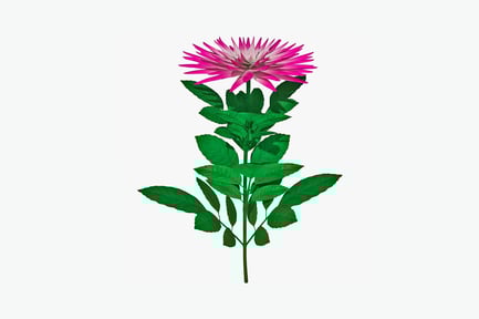 Preview: Multi-petaled pink flower with stem and leaves