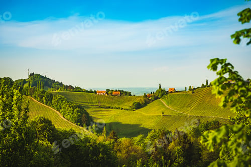 Preview: Panorama of South Styria Vineyards landscape near Austria - Slovenia border. View at Vineyard fields