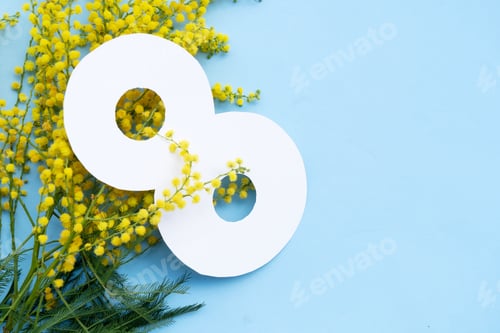 Preview: Mimosa flowers on blue background