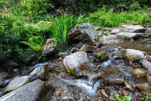 Preview: Waterfall. Jibi, Himachal Pradesh