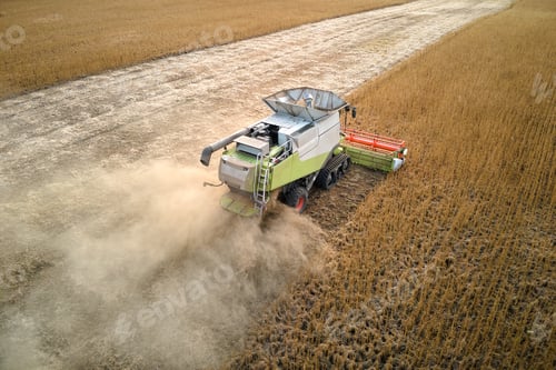 Preview: Aerial view of combine harvester working during harvesting season on large ripe wheat field.
