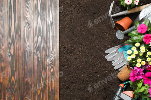 Preview: Flat lay composition with gardening tools and flowers on soil, space for text