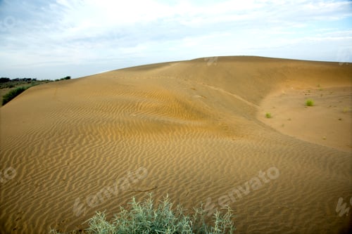 Preview: Thar desert, Jaisalmer, Rajasthan, India.