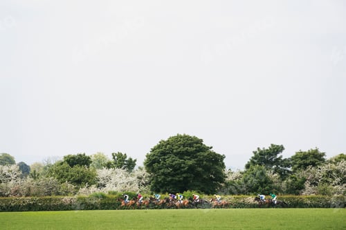 Preview: Group of riders on racehorses galloping during a steeplechase across the countryside in spring.