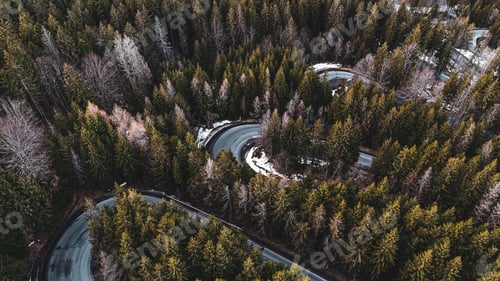 Preview: Aerial view of a winding road through a dense forest with evergreen trees