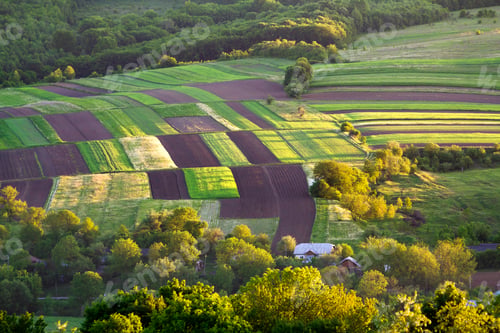 Preview: Beautiful peaceful multicolored patched aerial view of dark plowed and green fields, trees, bushes
