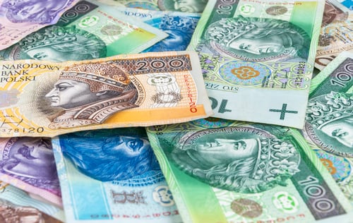 Preview: Background of polish banknotes