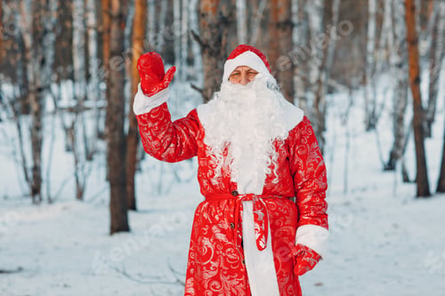 Preview: Santa Claus with long white beard portrait in the winter forest.