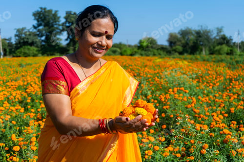 Preview: Indian woman in marigold field and enjoying nature.