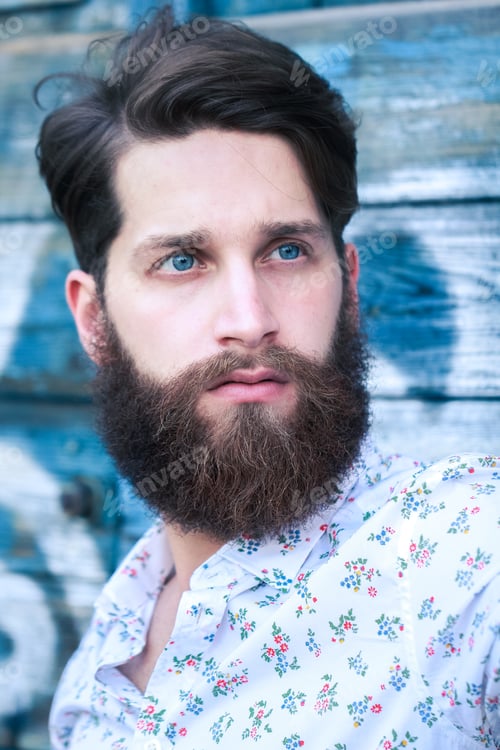 Preview: Portrait of a handsome bearded man