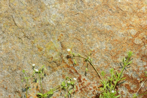 Preview: Natural Stone Granite Texture, Granite Pattern. Stone Background Of Mottled Granite Igneous Rock
