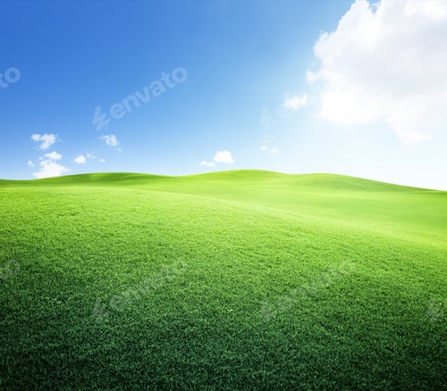 Preview: Green Field And Blue Sky