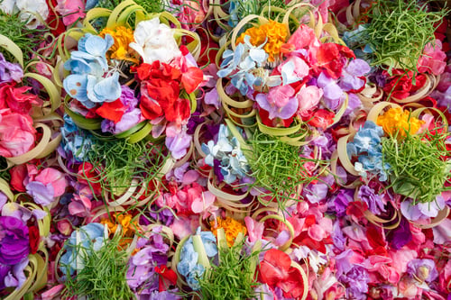 Preview: Close-up of flower petals at the market in Bali to be used for offerings