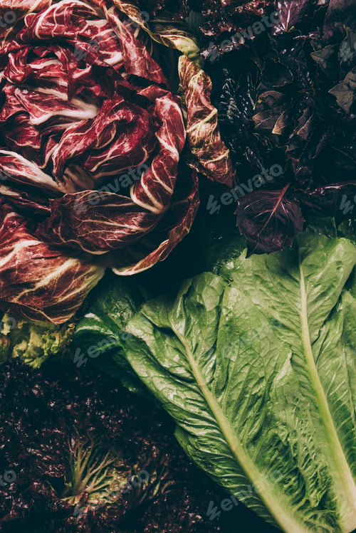 Preview: top view of radicchio, basil leaves and green salad