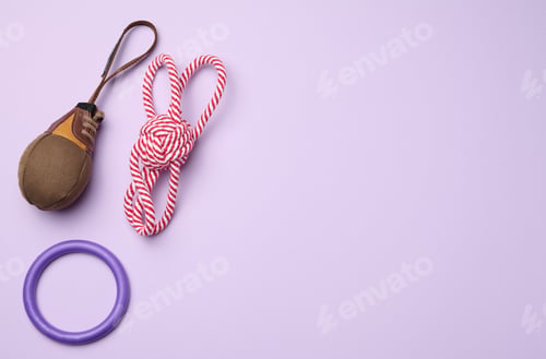 Preview: Textile toy, rope for playing with animals on a purple background, top view.